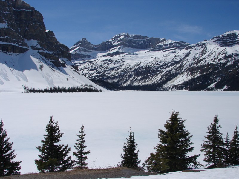 Frozen Lake, Icefields Parkway (5829122715)