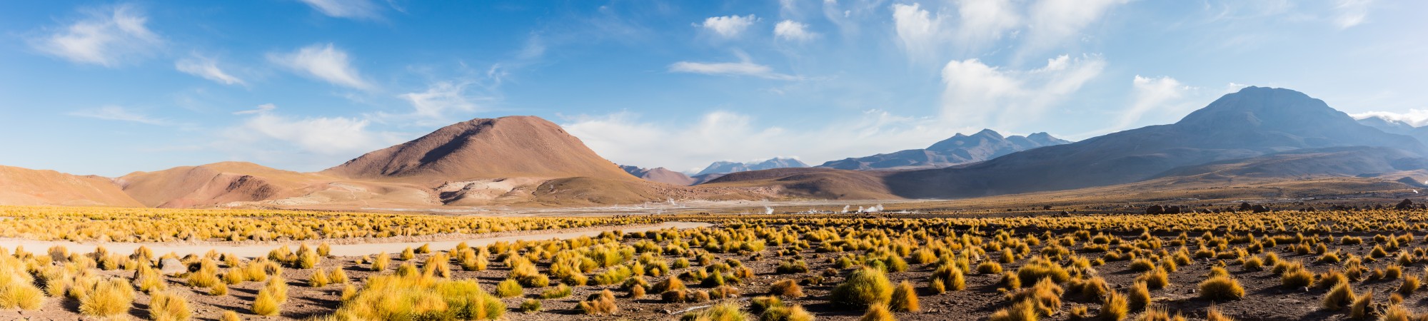 Géiseres del Tatio, Atacama, Chile, 2016-02-01, DD 74-77 PAN