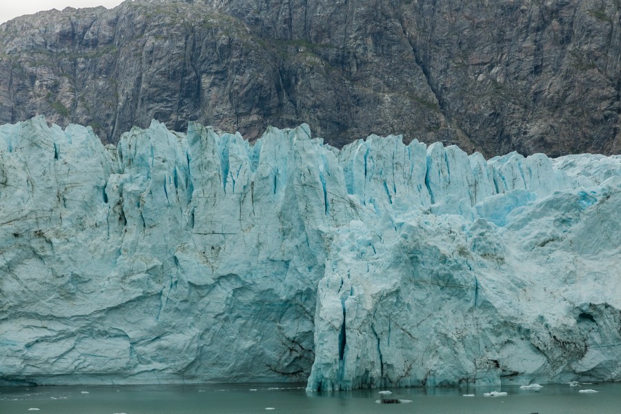 Glaciar Margerie, Parque Nacional Bahía del Glaciar, Alaska, Estados Unidos, 2017-08-19, DD 41