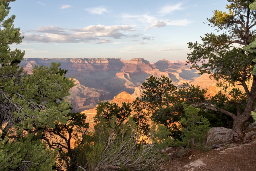 Grand Canyon (Arizona, USA), South Rim nahe Tusayan -- 2012 -- 5