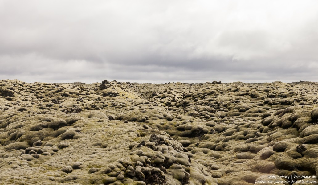 Iceland photographed in May 2019 by Serhiy Lvivsky, picture 8