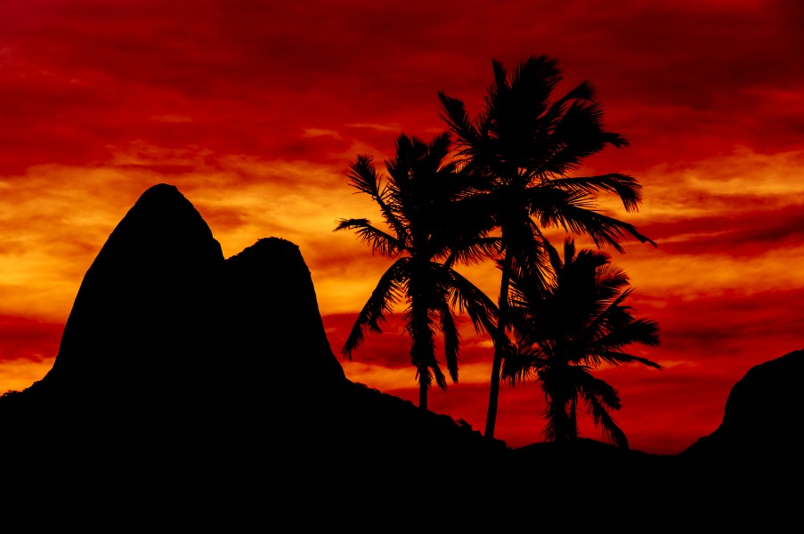 Ipanema Silhouettes in Red