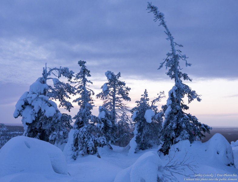 Iso-Syote, Finland, photographed in January 2020 by Serhiy Lvivsky, picture 3