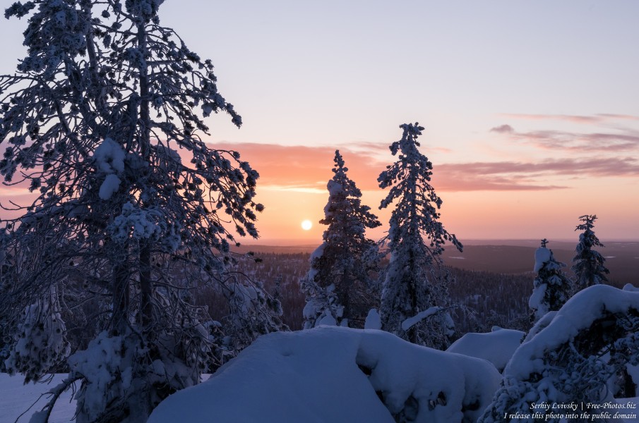 Iso-Syote, Finland, photographed in January 2020 by Serhiy Lvivsky, picture 9