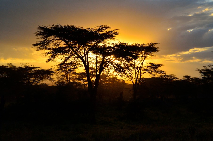 Kenia 2012 (31)