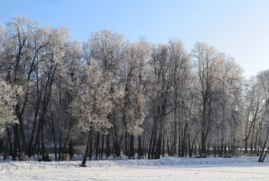 Korolyov Kostino Park and pond in winter