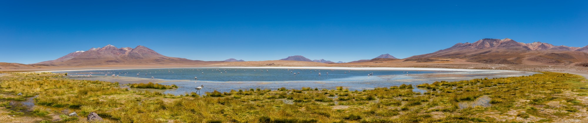 Laguna Cañapa, Bolivia, 2016-02-03, DD 70-74 PAN