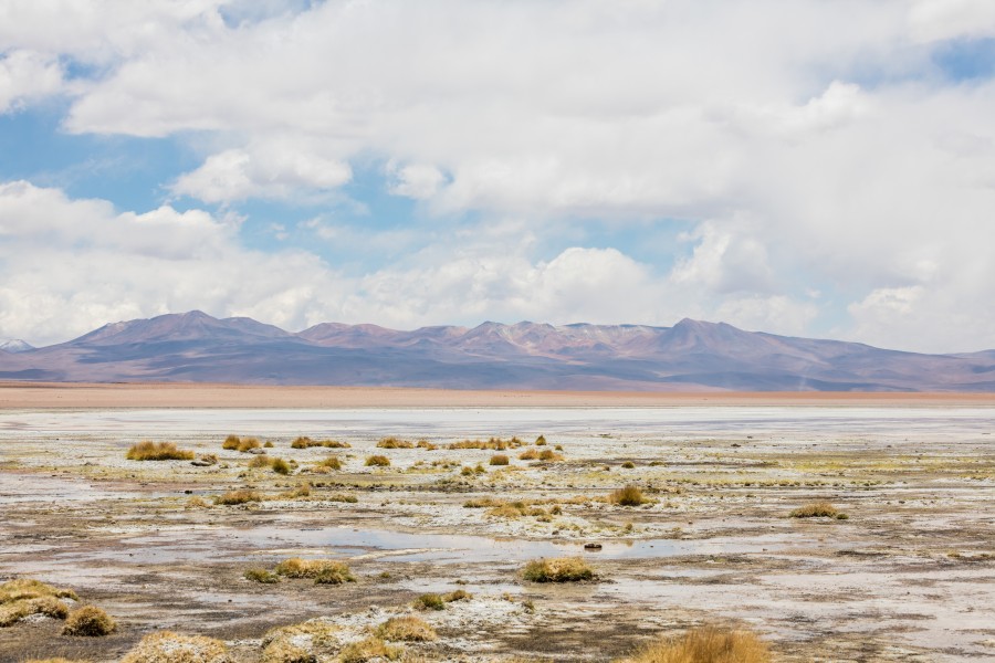 Laguna Salada, Bolivia, 2016-02-02, DD 113
