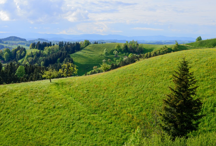 Landscape at Hergiswil near Willisau - Lucerne - Switzerland - 01