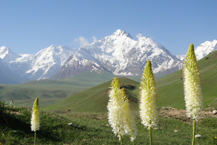 Landscape of Tajikistan,panoramio 05