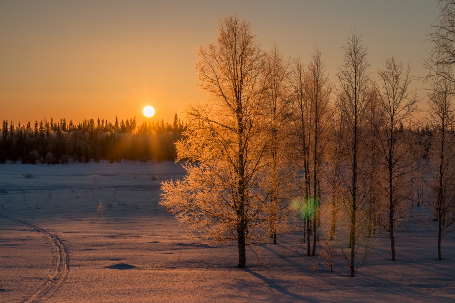 Lapland Sunrise (Explored) (26005228102)