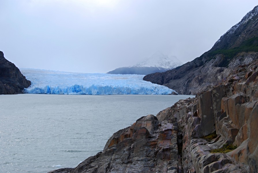 Ledovec Grey Glacier - panoramio