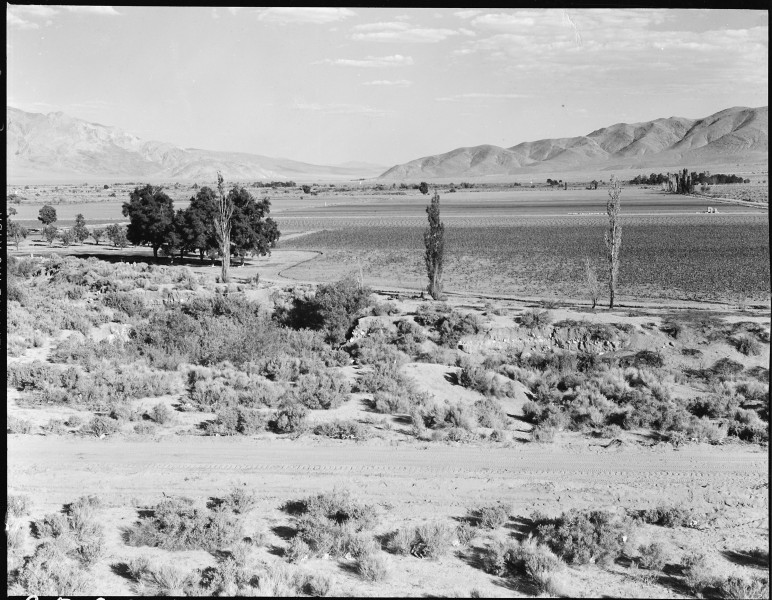 Manzanar Relocation Center, Manzanar, California. Looking down Inyo Valley toward Lone Pine from th . . . - NARA - 538042