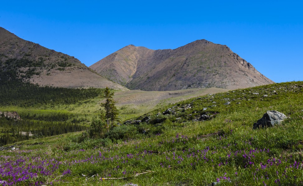 Mountain and tundra landscape in Ivvavik National Park, YT