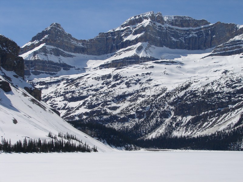 Mountain Lake, Icefields Parkway (5829125057)