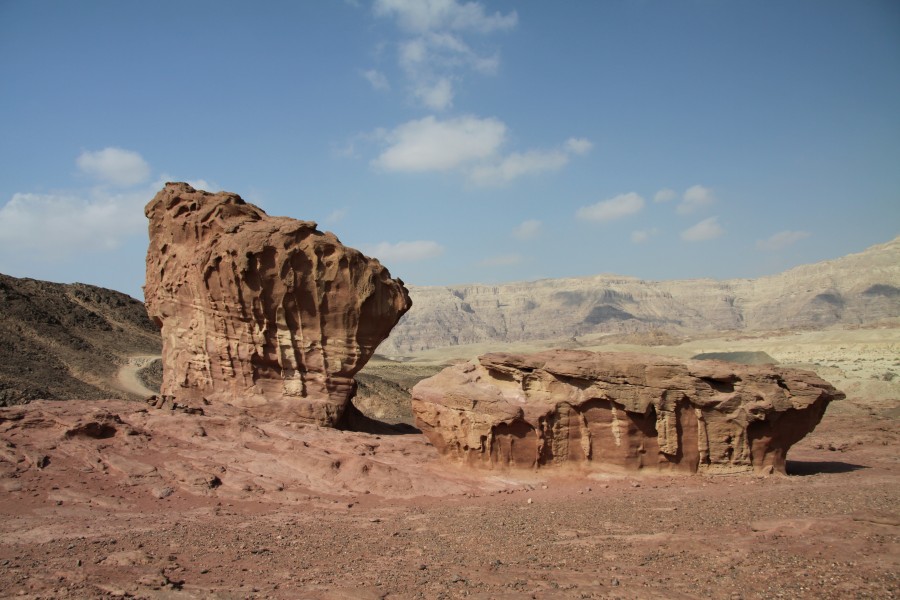Mushroom and a half in Timna Park in 2011 (2)