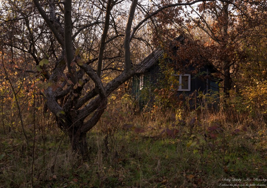 nature in Lviv region of Ukraine in November 2020 photographed by Serhiy Lvivsky, picture 9