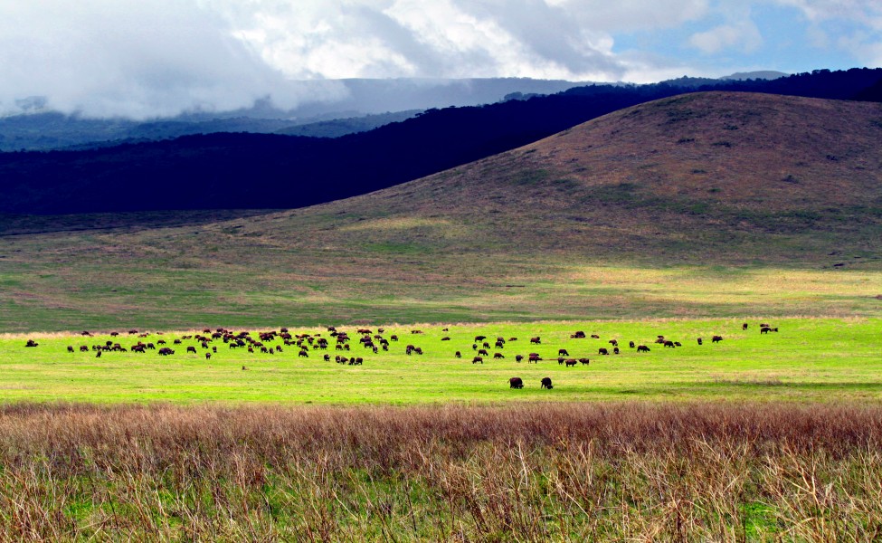 Ngoronogro view