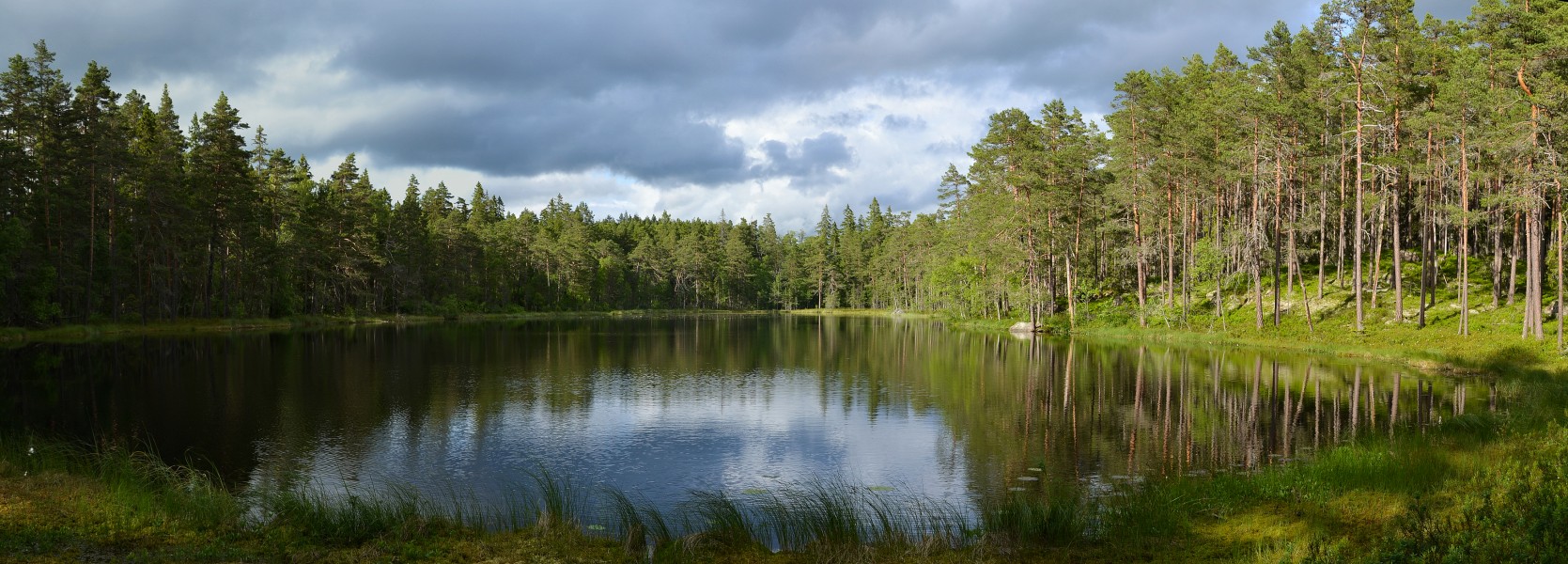 Norra Kvill National Park, Sweden (by Pudelek)