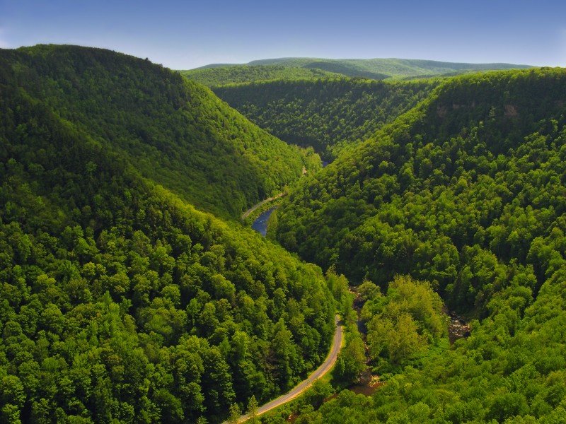 Pine Creek Gorge, Tioga County, as seen from the West Rim Trail
