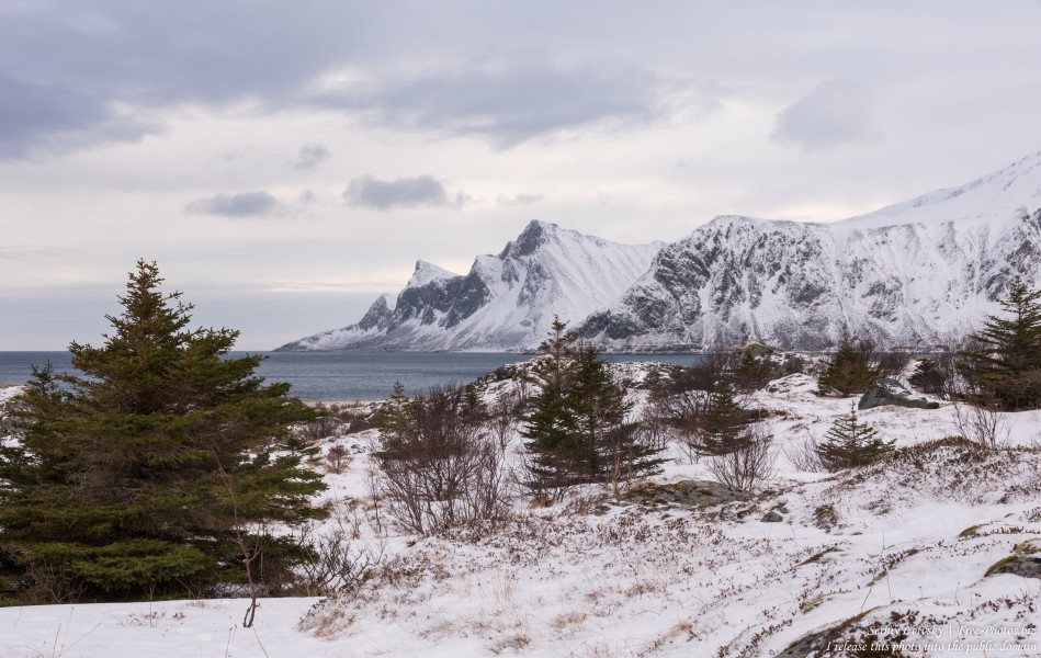Ramberg beach, Norway, in February 2020, by Serhiy Lvivsky, picture 2