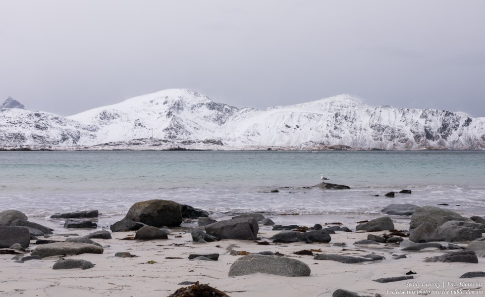 Ramberg beach, Norway, in February 2020, by Serhiy Lvivsky, picture 5