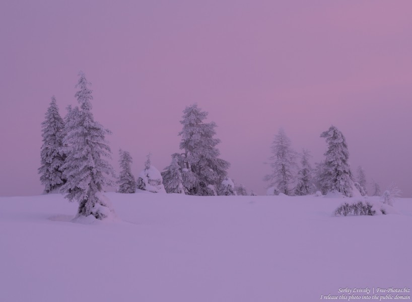 Riisitunturi, Finland, photographed in January 2020 by Serhiy Lvivsky, picture 9