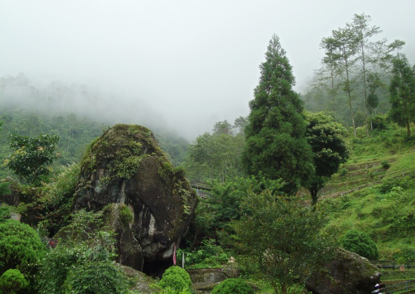 Rock Garden, Darjeeling at mist
