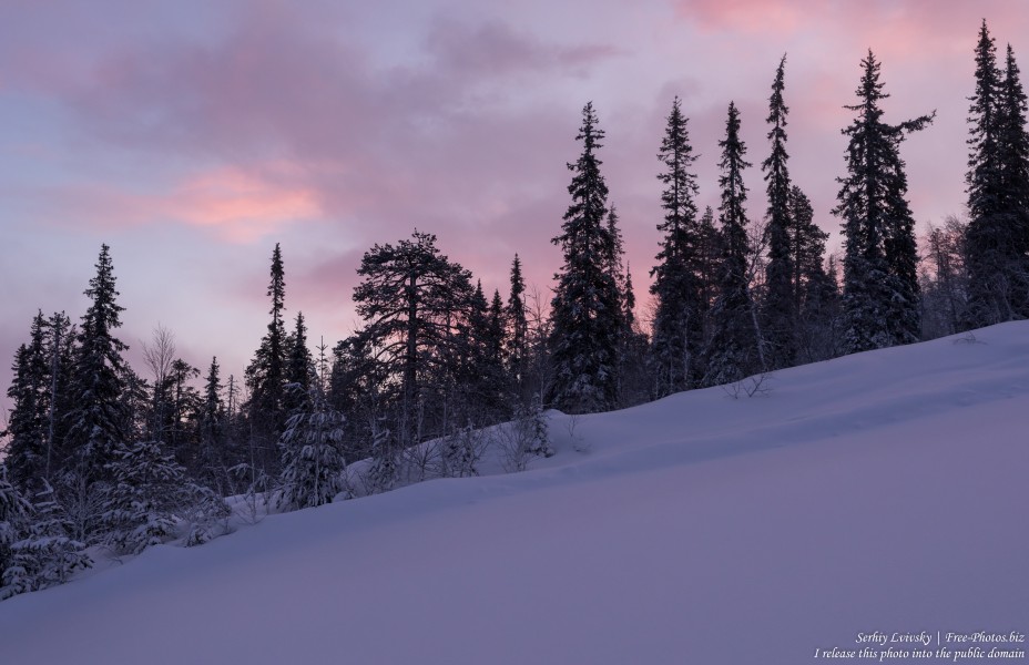 Sallatunturi, Finland, photographed in January 2020 by Serhiy Lvivsky, picture 3