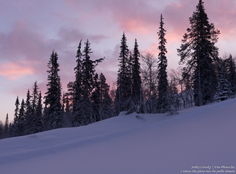 Sallatunturi, Finland, photographed in January 2020 by Serhiy Lvivsky, picture 4