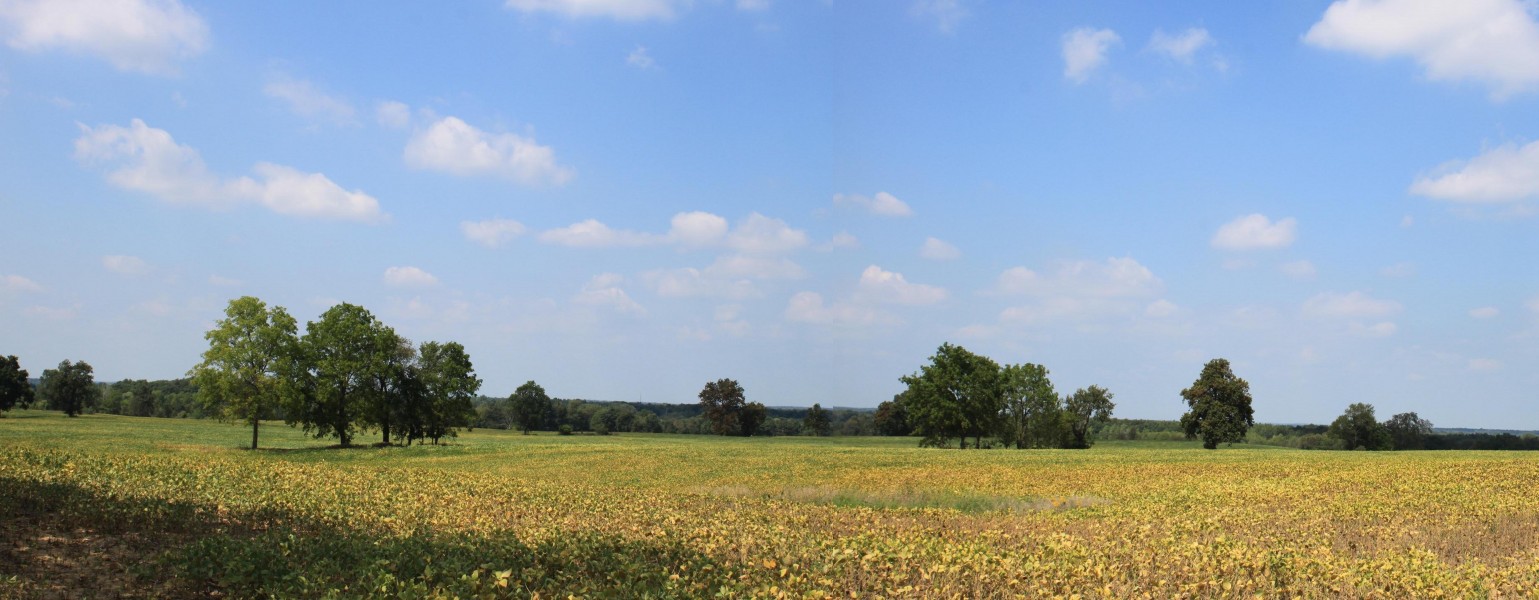 Scio Township Michigan Pastoral Panorama