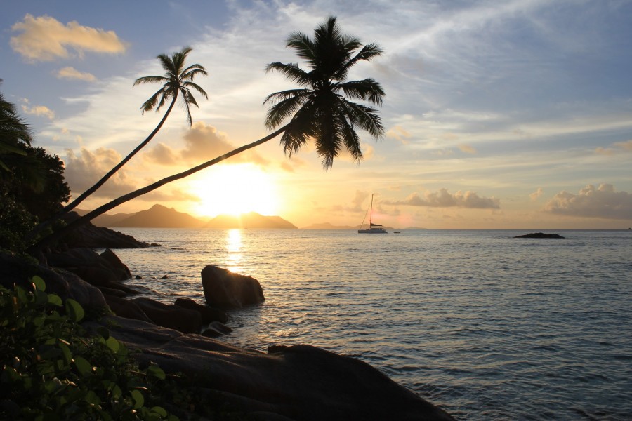 Seychellen - La Digue - 2 Palmen beim Sonnenuntergang