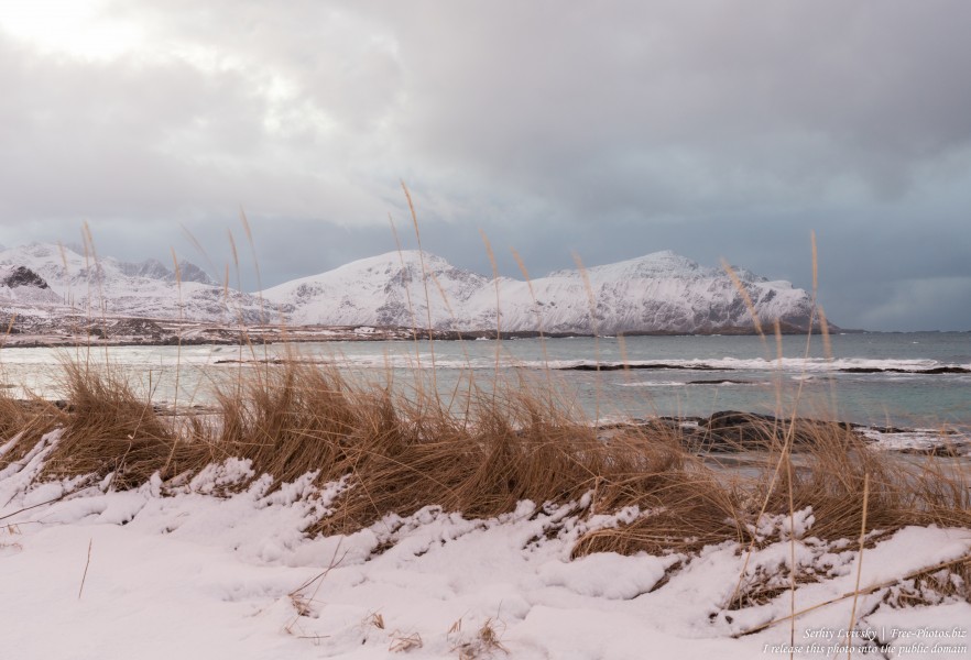 Skagsanden beach, Norway, photographed in February 2020 by Serhiy Lvivsky, picture 13
