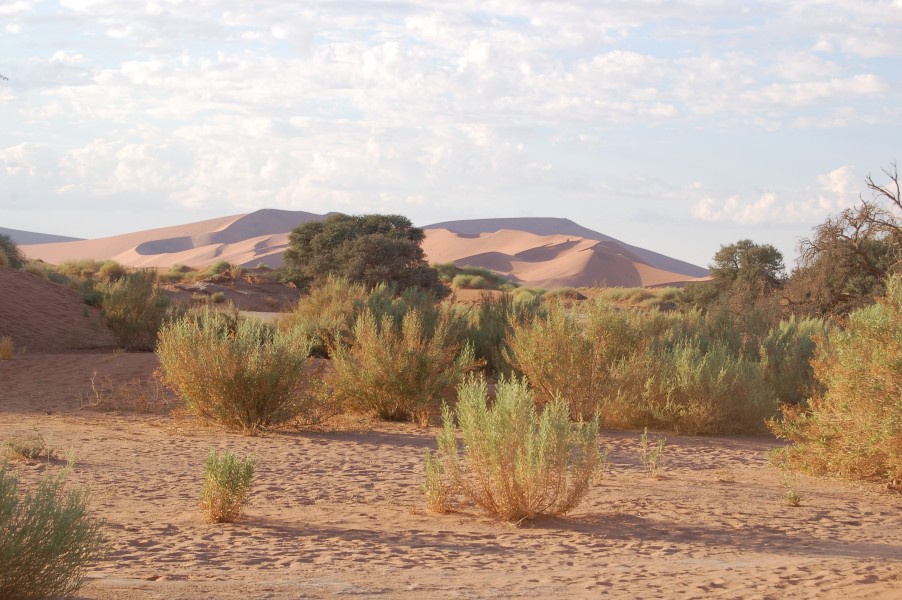 Sossusvlei, Namibia (3137624483)