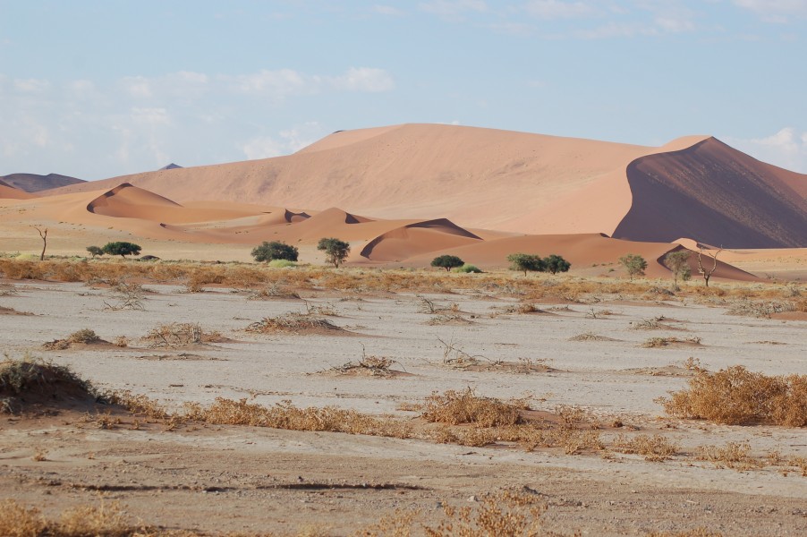 Sossusvlei, Namibia (3137655837)
