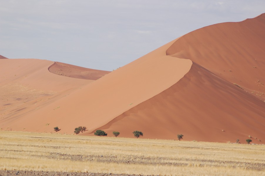 Sossusvlei, Namibia (3137687389)