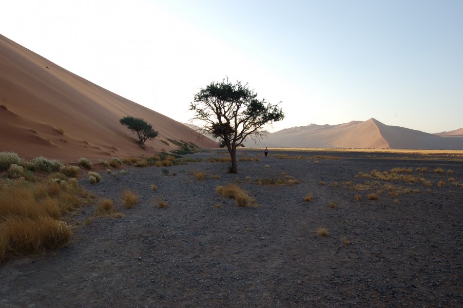 Sossusvlei, Namibia (3137698739)