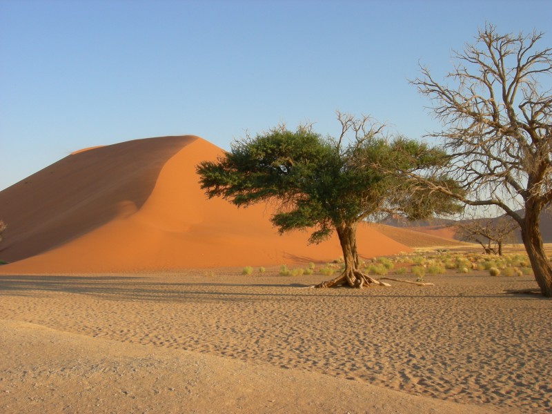 Sossusvlei, Namibia (3137709057)