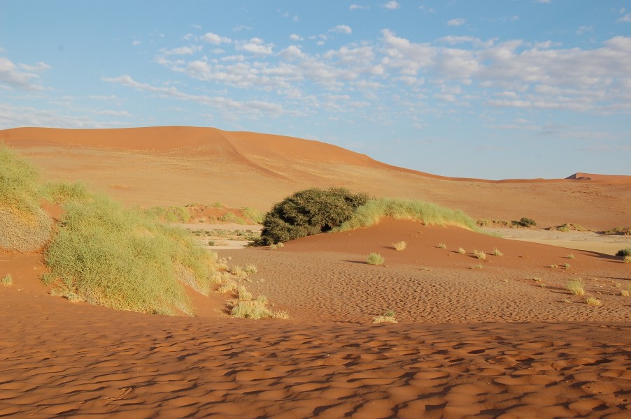 Sossusvlei, Namibia (3138442840)