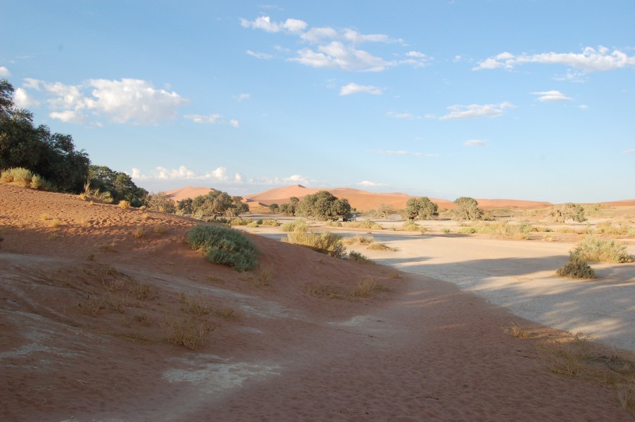 Sossusvlei, Namibia (3138445850)