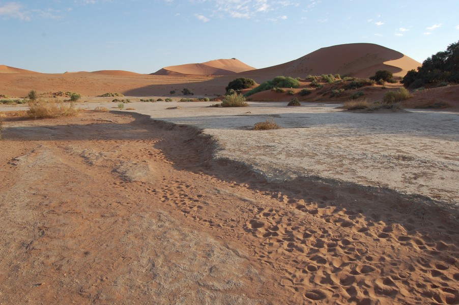 Sossusvlei, Namibia (3138448594)