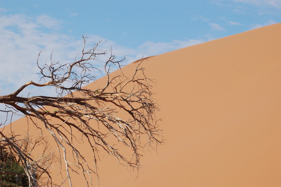 Sossusvlei, Namibia (3138504066)