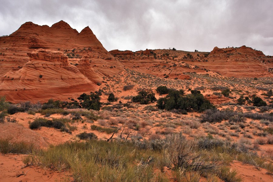 South Coyote Buttes Paria Canyon Wilderness Area (3448804687)