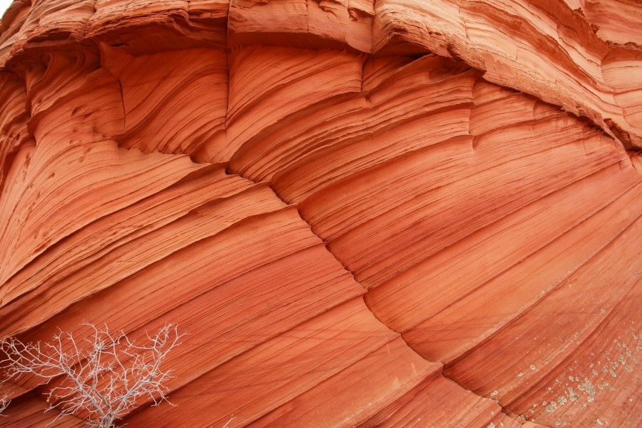 South Coyote Buttes Paria Canyon Wilderness Area (3448806643)