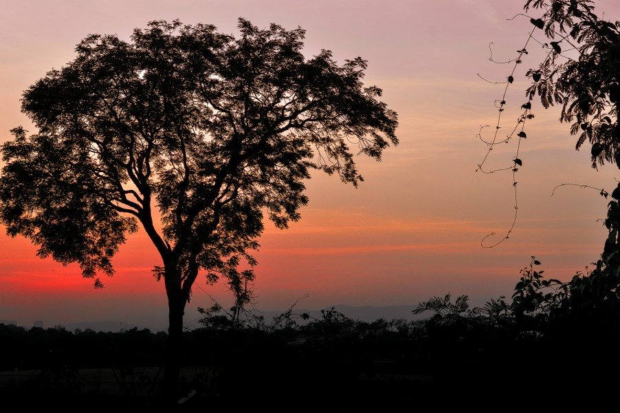 Sunset - Ghansholi - Vibrant