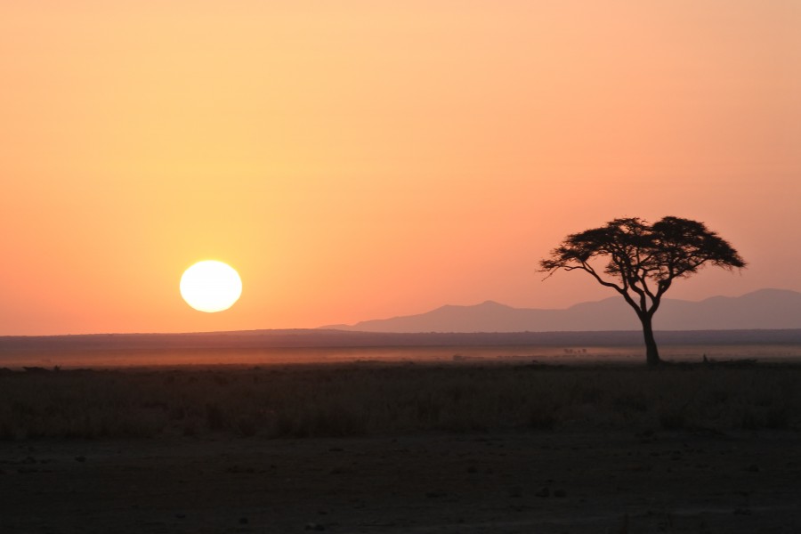 Sunset Amboseli Park 04