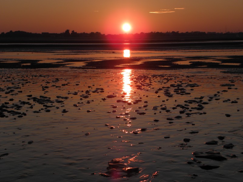 Sunset at West Wittering - panoramio (6)