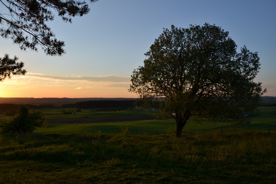 Sunset in Baranowo, Poland