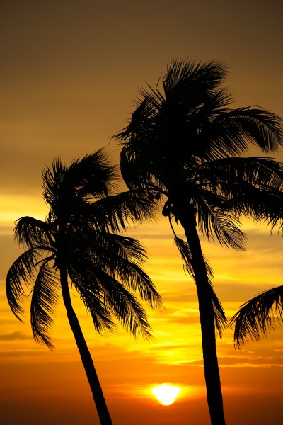 Sunset on Smathers Beach, Key West - Flickr - Joe Parks