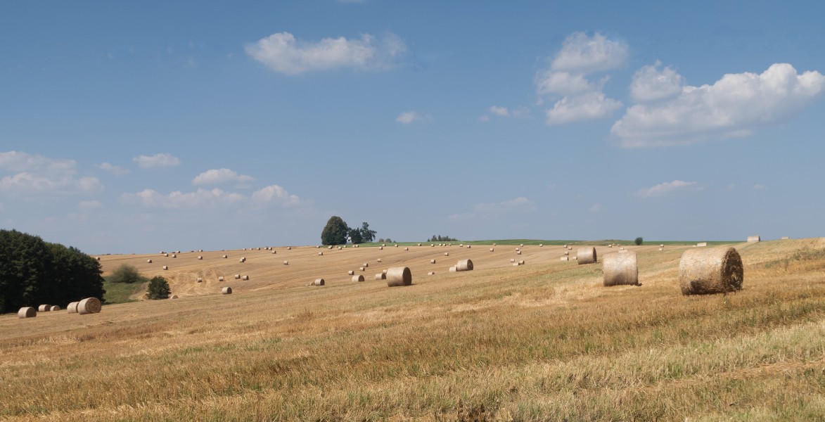 Tussen Mohuřice en Trhové Sviny, panorama IMG 6124 2018-07-31 14.40